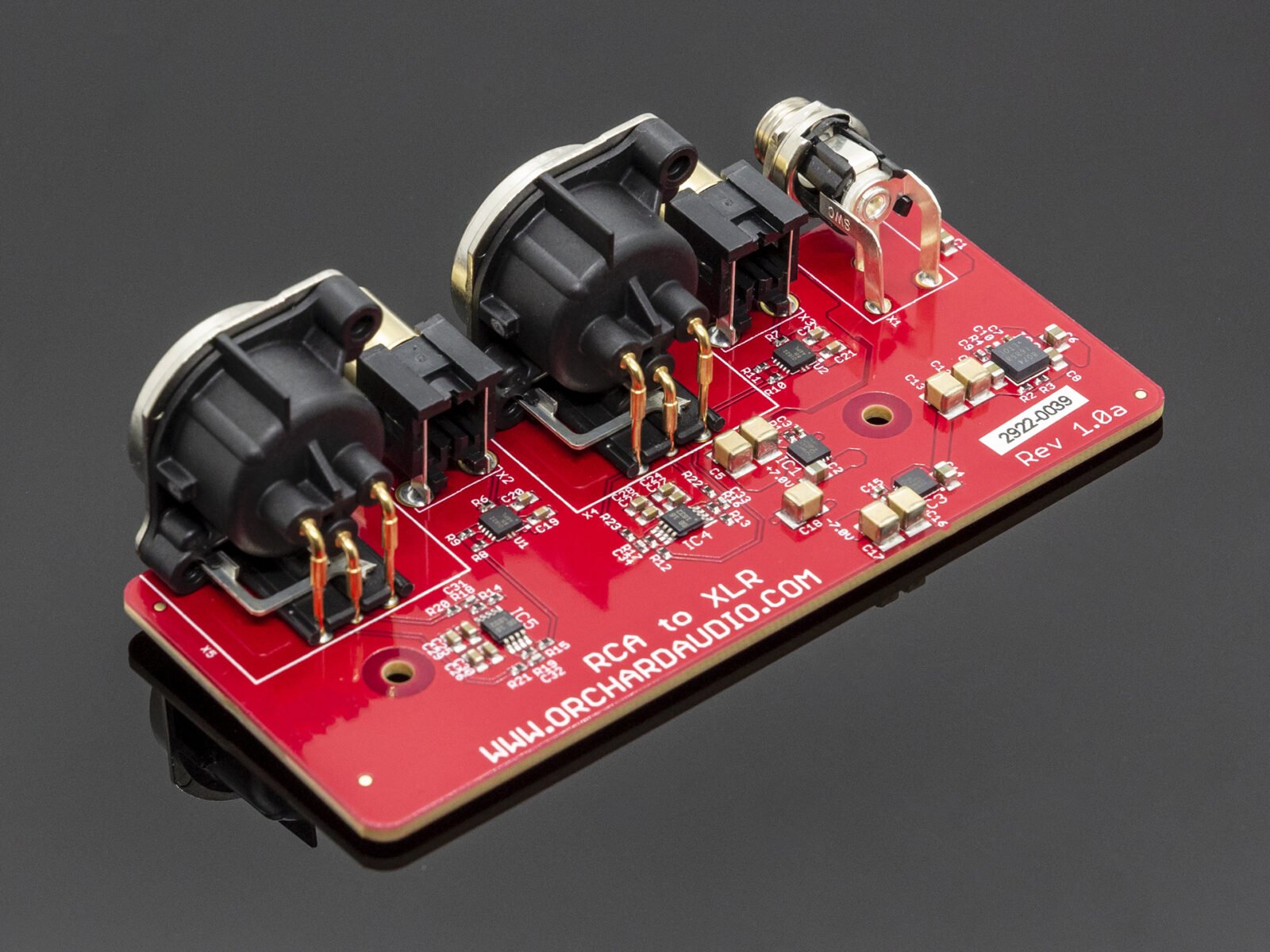 RCA_to_XLR_Module_Back