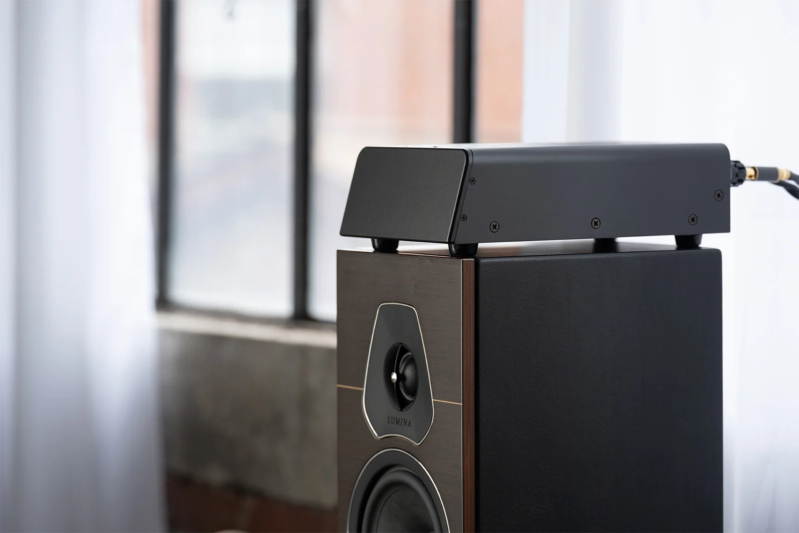 Speaker And Starkrimson 25 Mono Premium Lifestyle